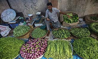 How the Monsoons Affect and Influence the Indian Economy