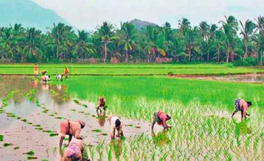 monsoon and indian economy