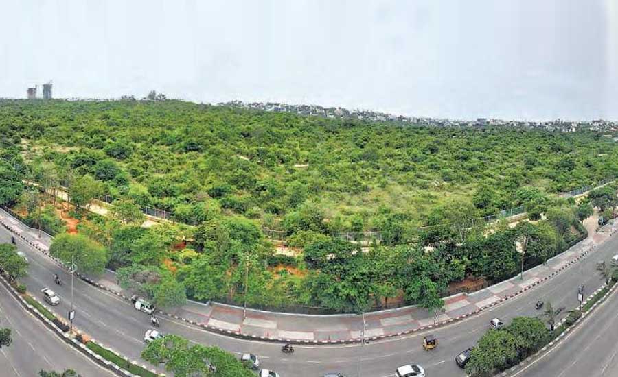 How Hyderabad is Successfully Preparing for a Green Future